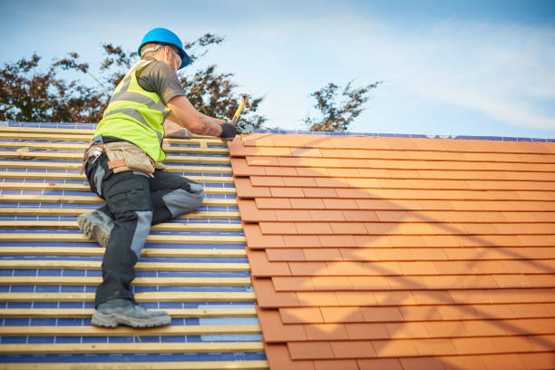Best Metal Roofing Installation  in Waterbury, CT